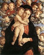 Andrea Mantegna The Madonna of the Cherubim oil on canvas